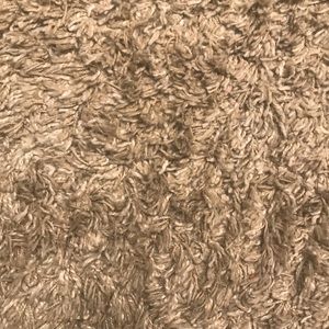 Meet your Posher, Eva